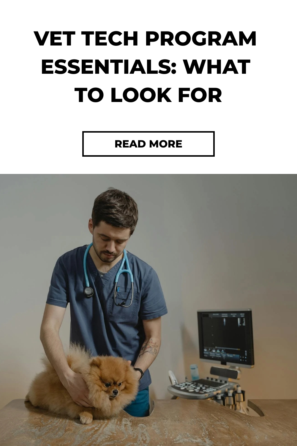 Vet Tech Program Essentials: What to Look For